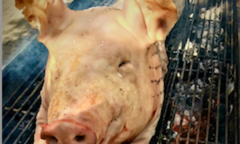 Helstegt pattegris der ligger på grillen